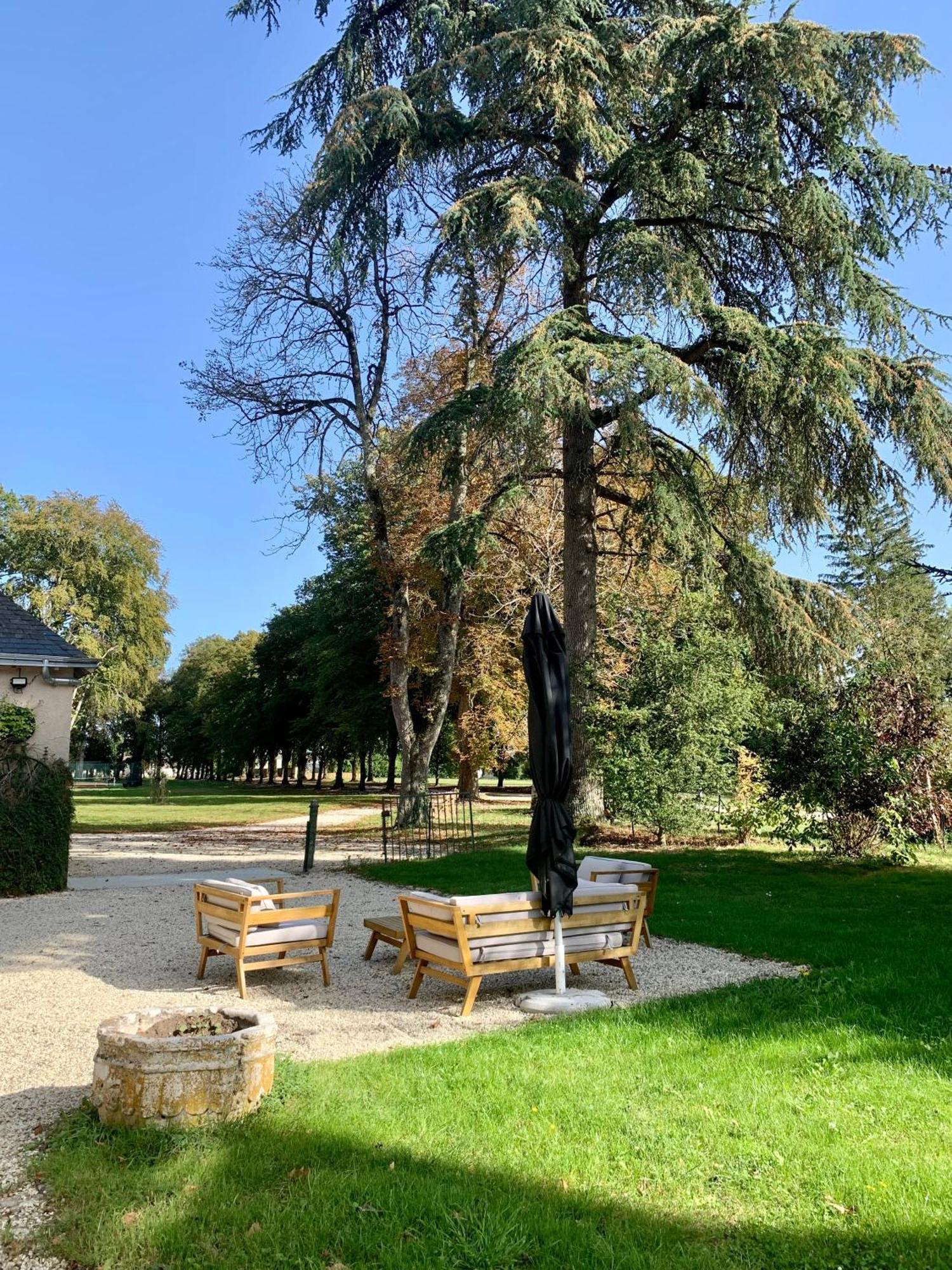 Chateau De L'Epinay - Domaine Du Marquis De Lafayette Dolus-le-Sec ภายนอก รูปภาพ